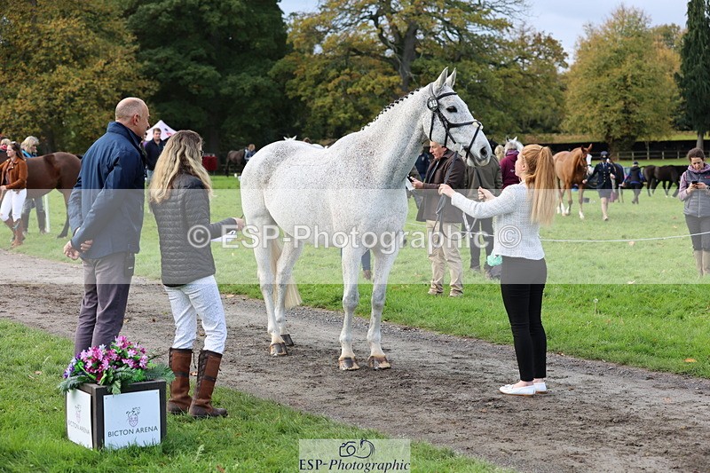 251026A-103041-23055 - E-394-Franki.Jarvis