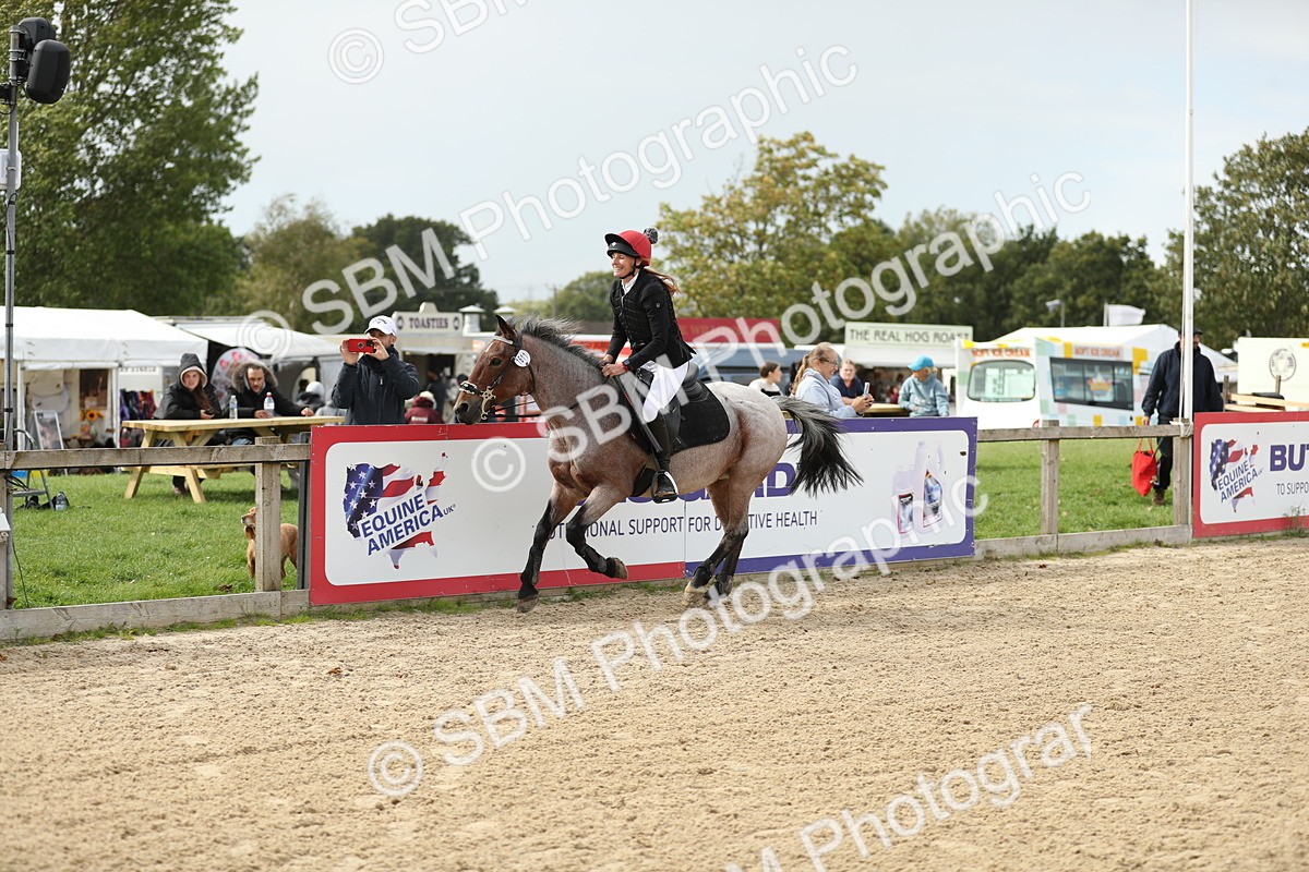 SBM_08955 - J30 - Senior Horse & Pony 70cm Championship