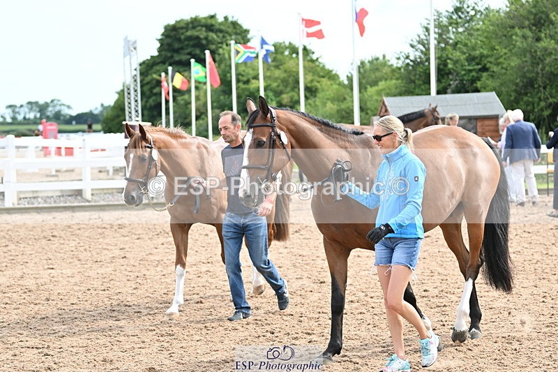 240717A-165547-03547 - Trot Up 4pm to 5pm
