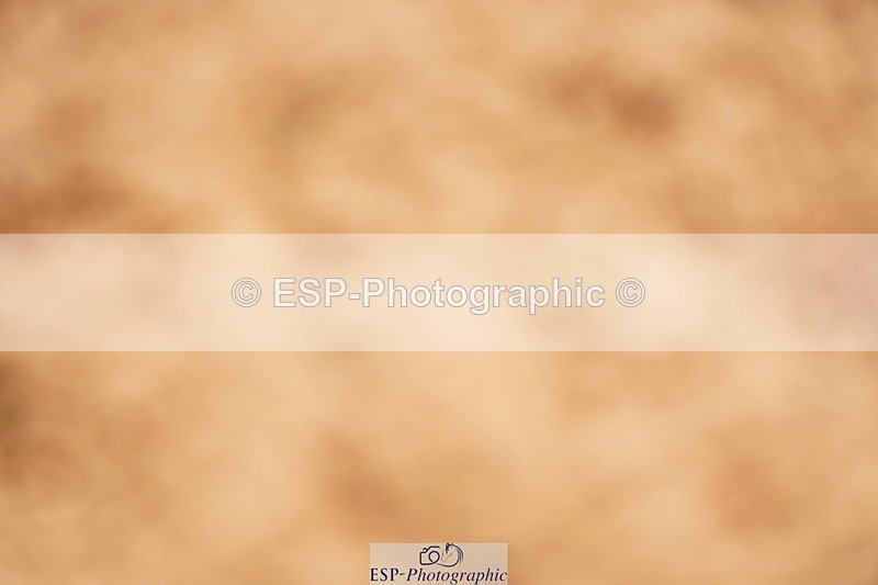 240526A-114758-07898 - Cls 26 Chard Equ 1.05m and 1.10m Grand Prix