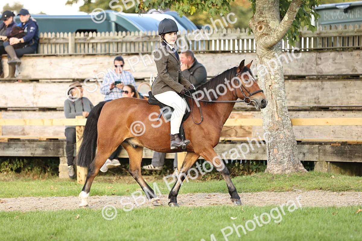 SBM_29533 - S7 - Novice & Newcomers Ridden Pony