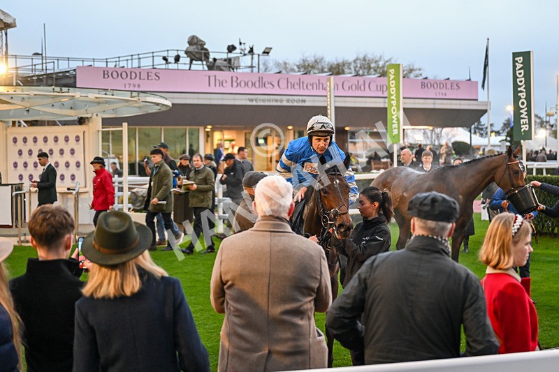 151125-Race 7-Divine Diva-4809 - Race 7