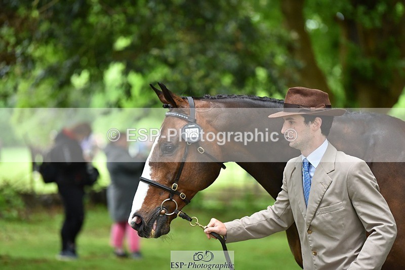 240522-170328-01354 - 235-GREENHALL_JAY-Henry_Hobby