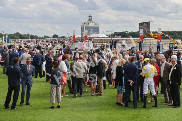 yr11062022r8-2 - Race 8 5.25pm Clean up with PPS Stakes