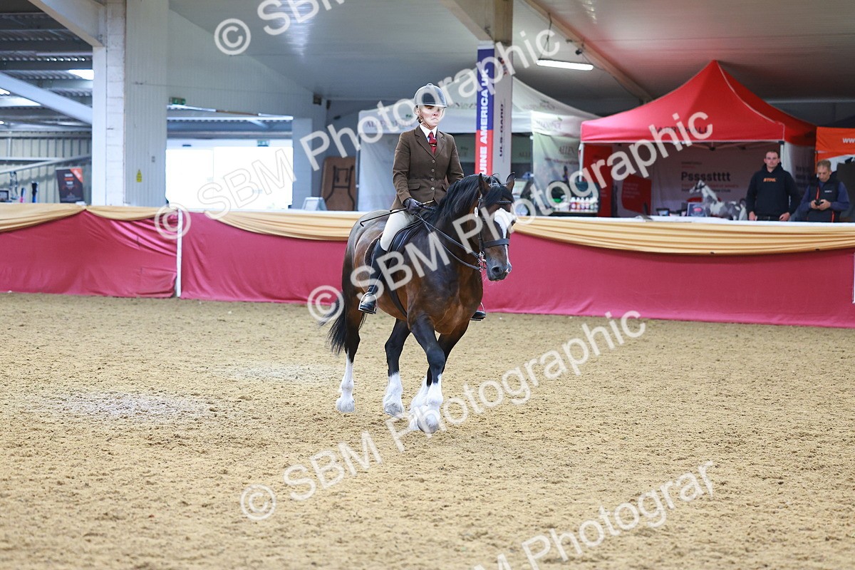 SBM_06071 - Class 12R - Ridden Pre-Vet