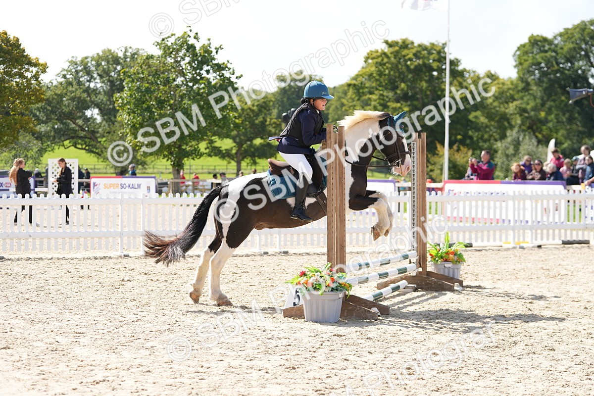 SBM_18196 - J58 - Clear Round 50cm
