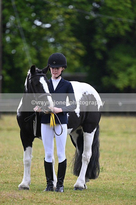 WJ7_5918 - Class 4 Prettiest Mare in Hand