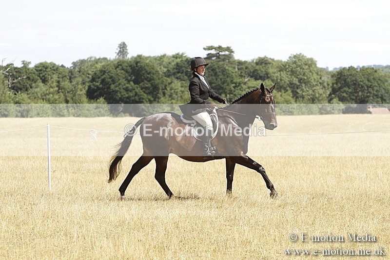 _BS_0741 - BVRC Show 2018 Ring 1