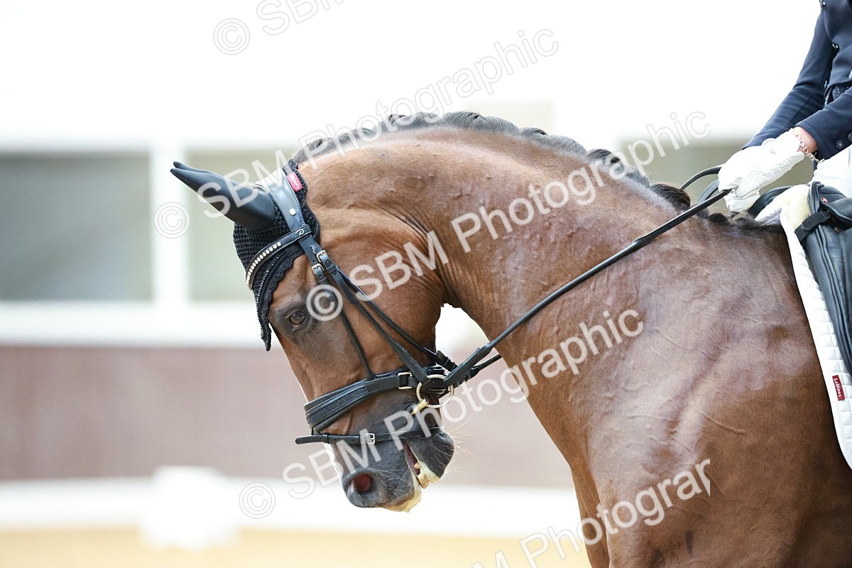 SBM_017958 - Class 15 - FEI Junior