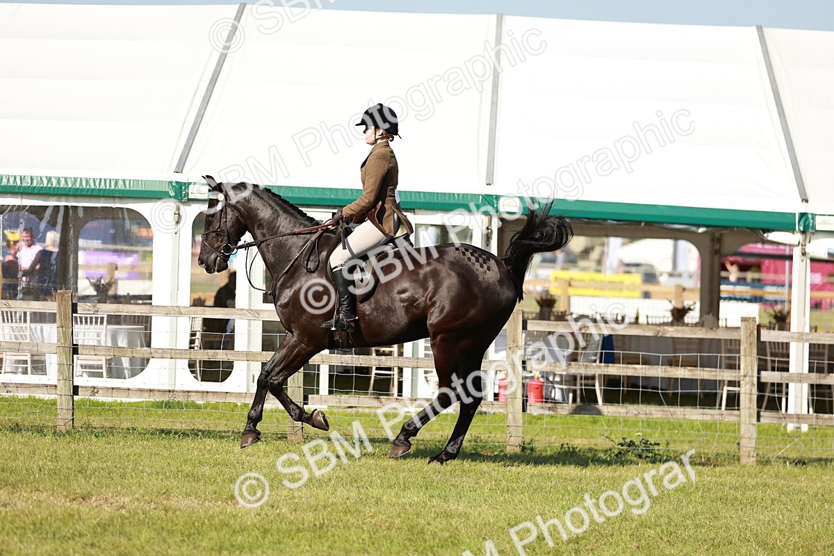 SBM_19243 - Class 115-116 - LIHS BSHA Rising Star Working Hunter & Show Horse