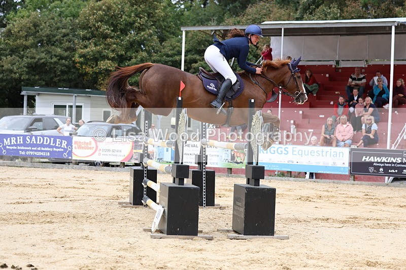 3E7A3367 - Class 9: Senior Foxhunter/1.20 open