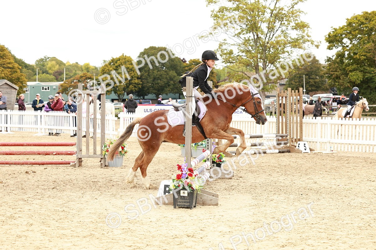 SBM_63783 - J12 - Junior Pony 55cm Championship
