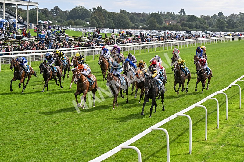060926-Race 2-Oriental Prince-0105 - Race 2 2.05pm Fine Details Car Valeting Sprint Handicap
