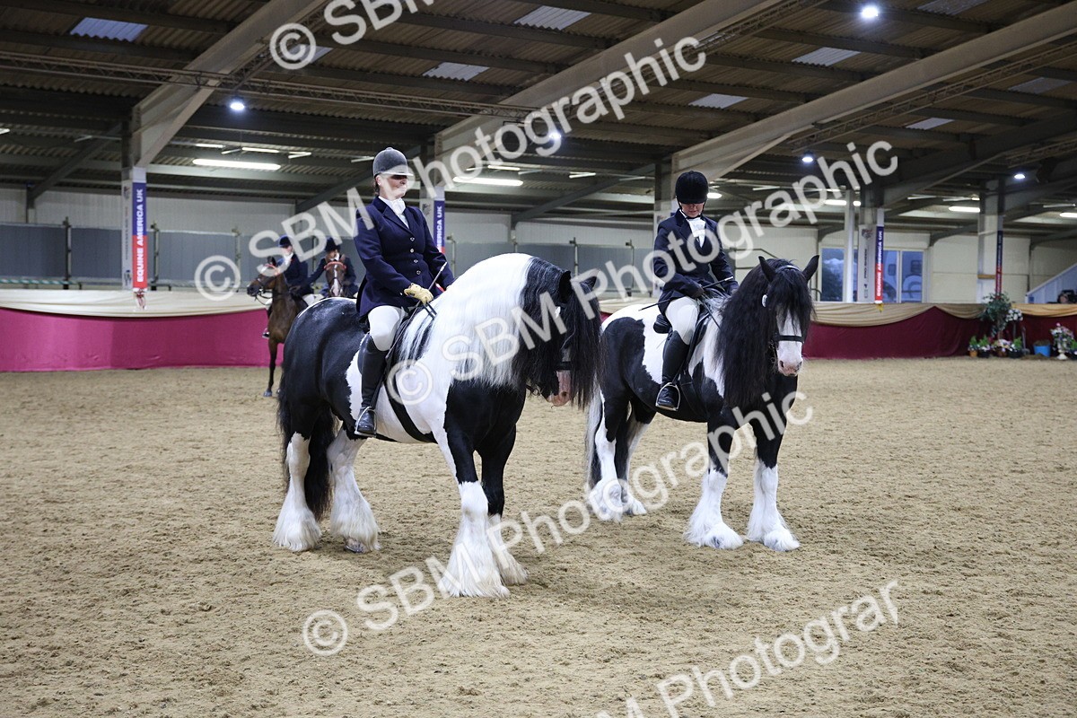 5K7A1529 - Class M Ridden Pairs Champ