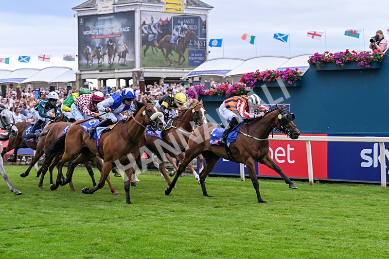 250726-Race 1-Kodiac Thriller-6745 - Race 1 13.30pm Sky Bet 'Jump Jockeys' Nunthorpe' Handicap