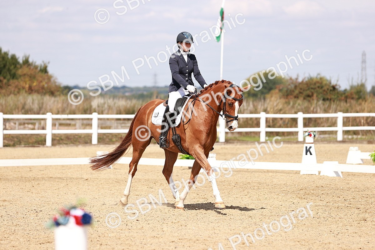 SBM_018432 - Class 17 - Novice 6