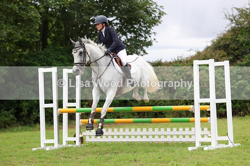 3E7A7052 - Class 5: Senior British Novice/90cm open