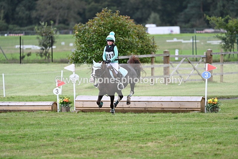 WJ7_8371 - 60cm Time 12:11 to 12:30
