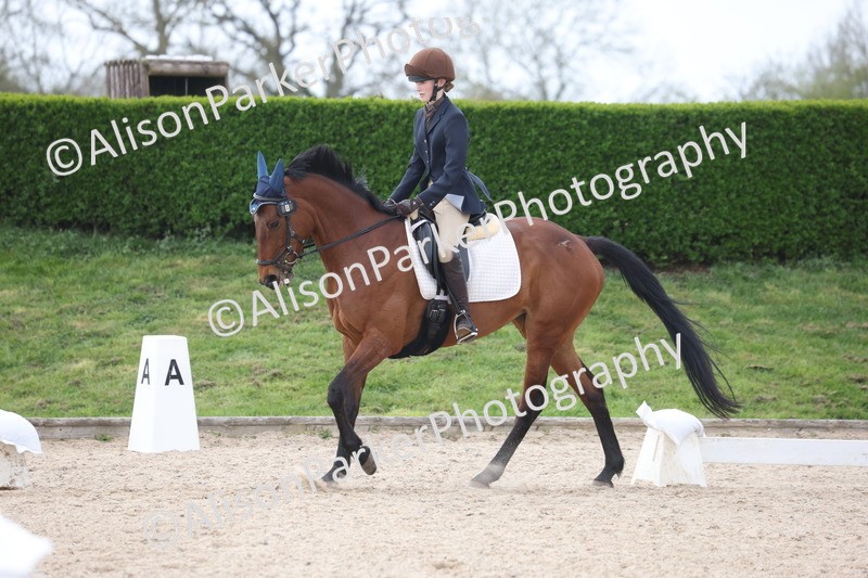 20260404-0917 - Class 5 - Novice 2