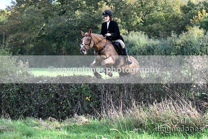 WJ7_5693 - Edited examples