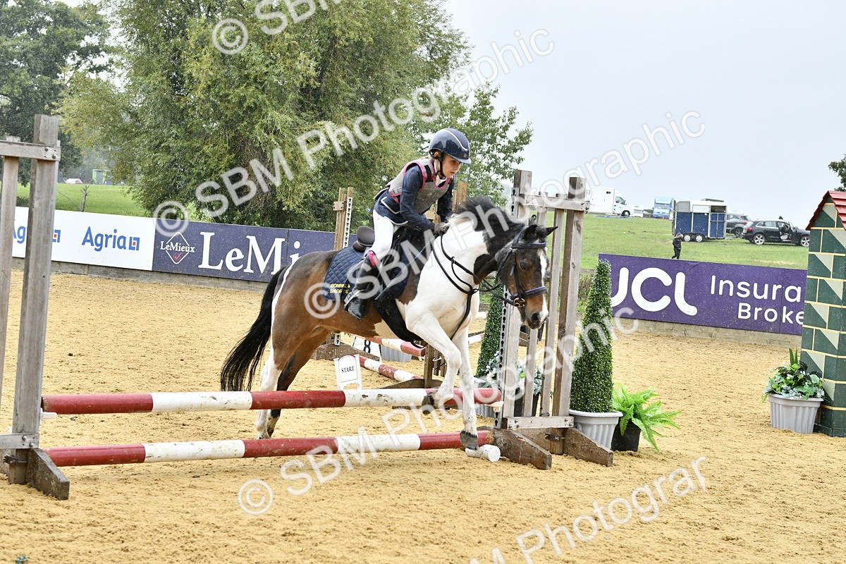 SBM_70774 - J3 - Mini Tour Junior Pony 40cm championship