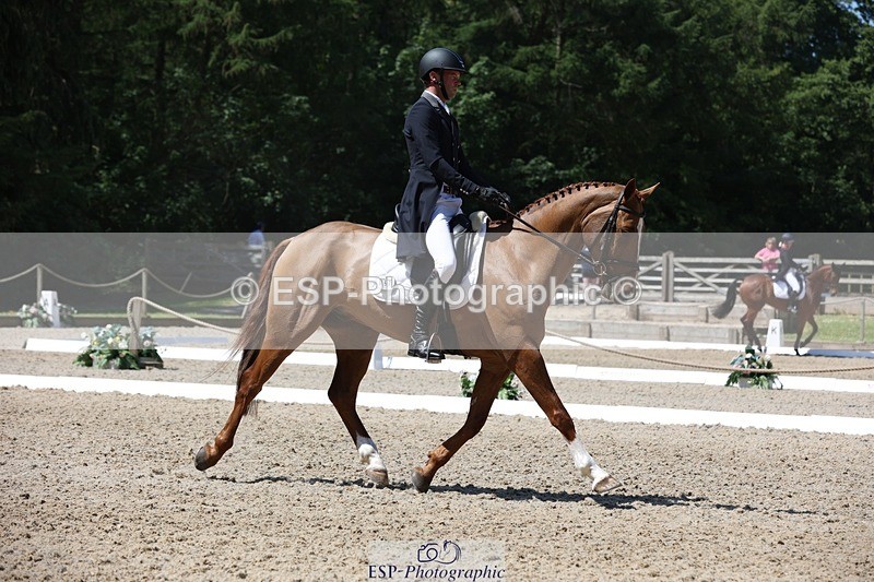 230526-115351-06124 - 157-GODSEND_DU_GIVRE-Henry_Dove-WEDTrotUp+DR