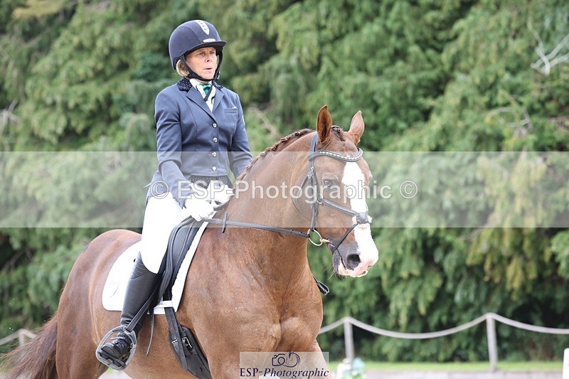 230812-134809-04318 - Cls 5 Novice Bronze 13.40 to 14.45 break