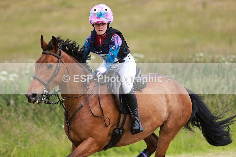 240630X-140438-7150 - 336-Tichy_Sanders-SPARHANGER_VELVET