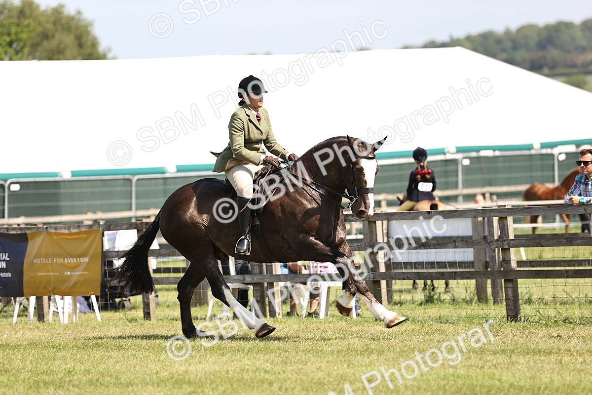 SBM_13782 - Class 77 - LIHS BSHA Rising Star Cobs
