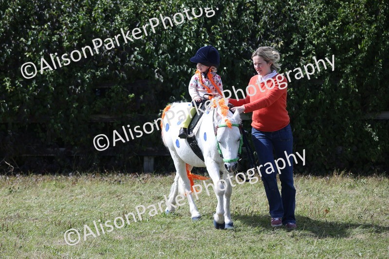 20250831-3453 - Class 26 - Fancy Dress