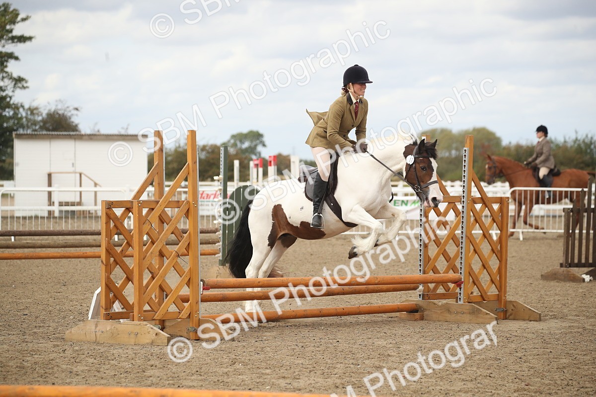 SBM_15222 - Class 506a - Working Veteran - 50cm (15-19)