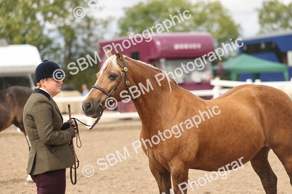 SBM_05030 - Class 20 - IH Veteran