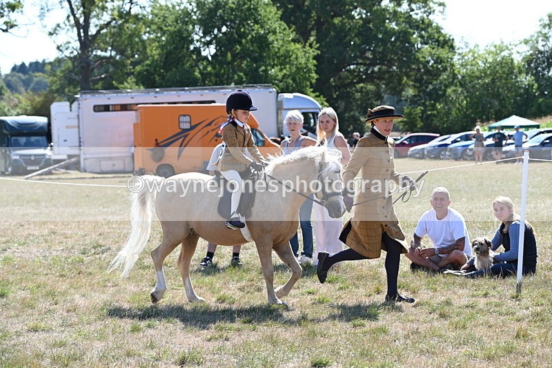 WJ6_7749 - Class 36 Lead Rein