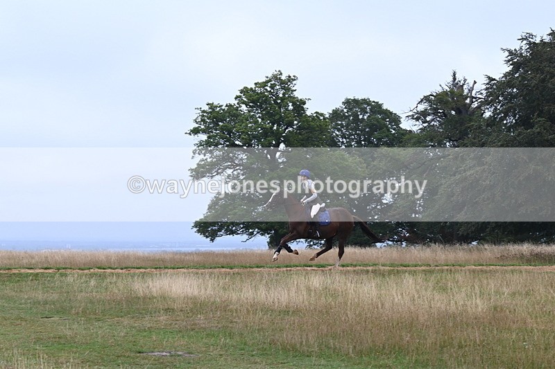 DSC_0041 - Time at Statue 09:51 to 10:54