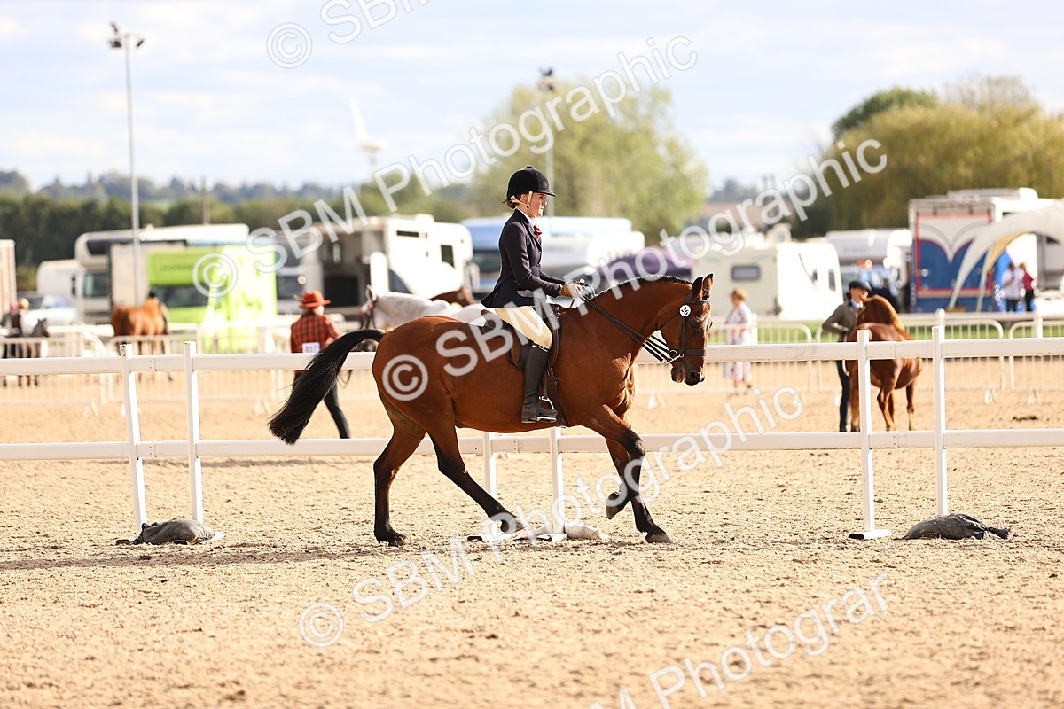 SBM_18234