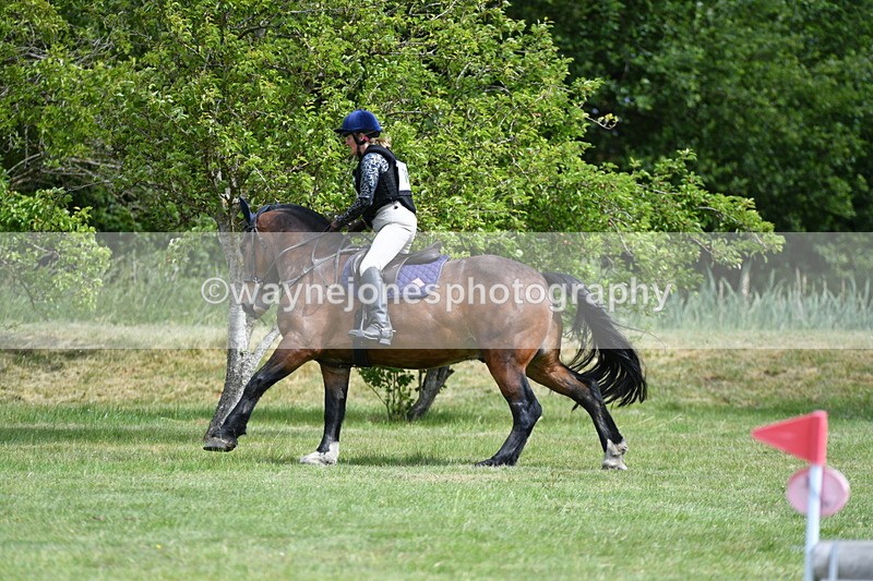 WJ5_2799 - Class 3 60cm Pairs