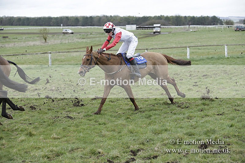 PtP 150320 0879 - New Forest Point-to-Point Larkhill 15/03/20