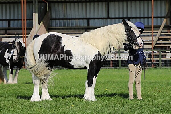 SIAL6034 - Ring 1 & 3