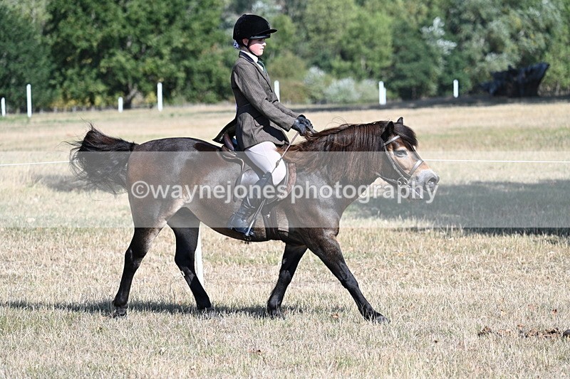 WJ7_3484 - Class 9 Mountain & Moorland Ridden