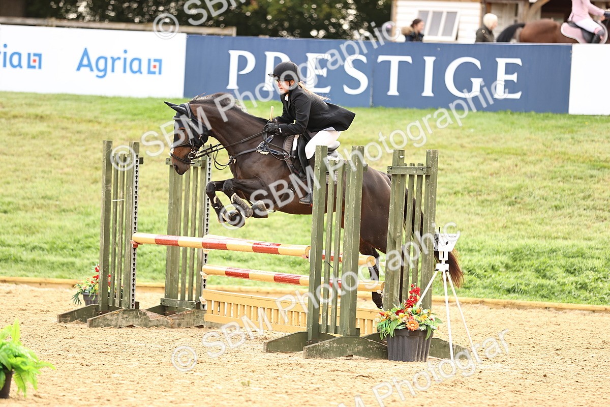 SBM_58448 - J41 - Grand Tour Horse & Pony 95cm