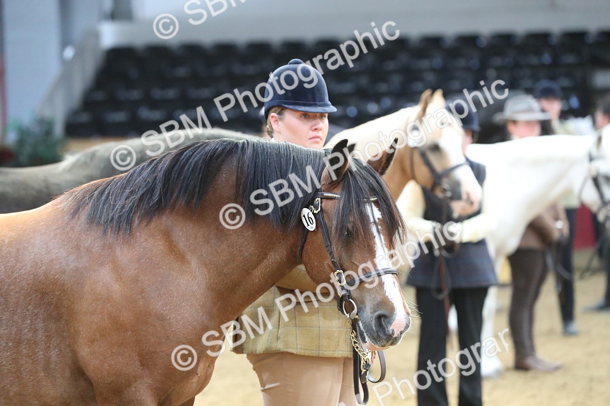 SBM_15314 - Class 501 M&M IH Supreme Final