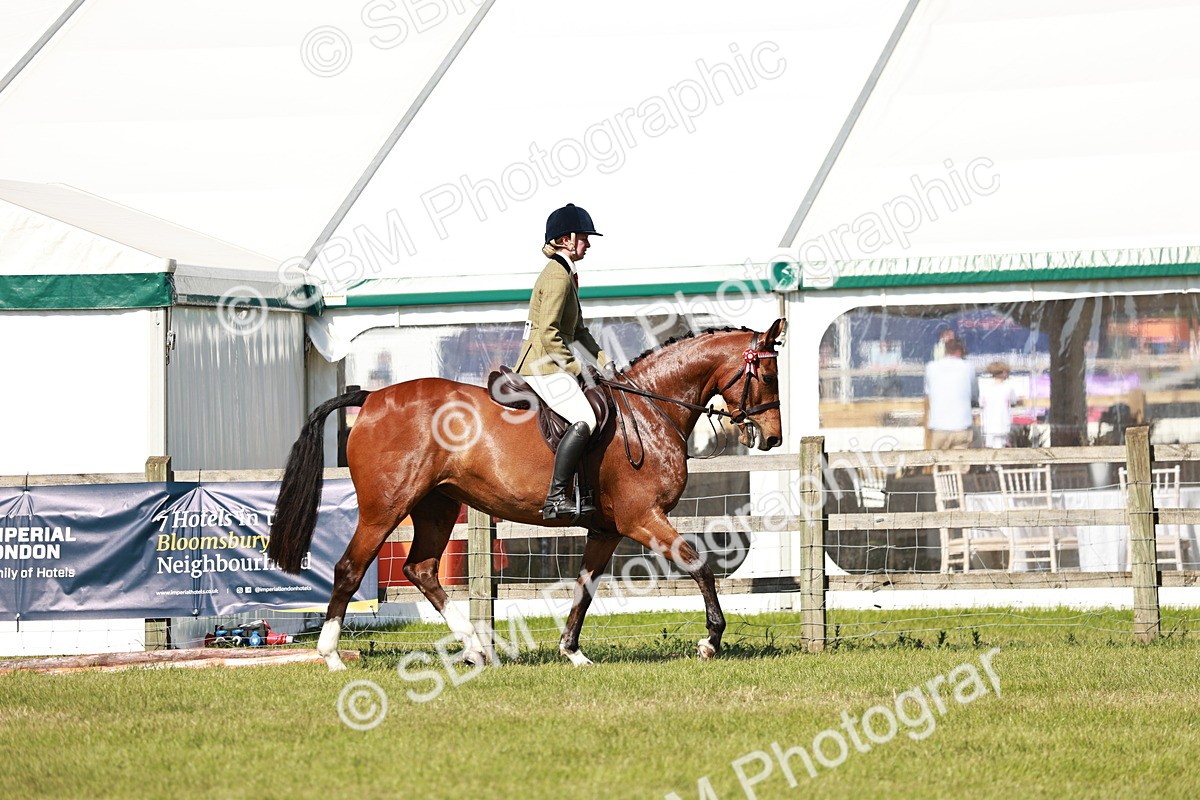 SBM_18869 - Class 114 - RIHS & SEIB Open Working Show Horse