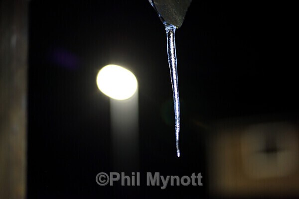MynottART173 - Photo Mynott ART Images