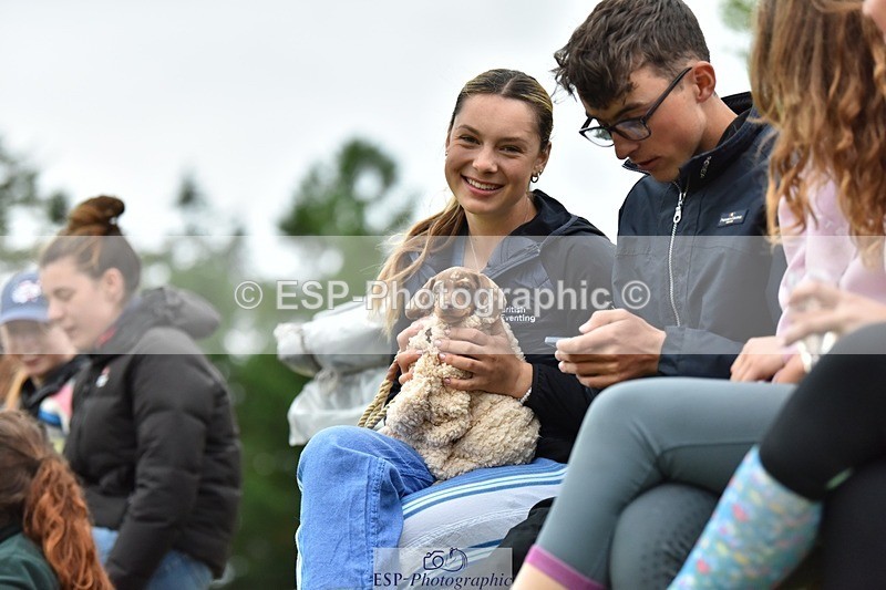 240523-193526-06602 - Candid and Saturday Hobby Horse