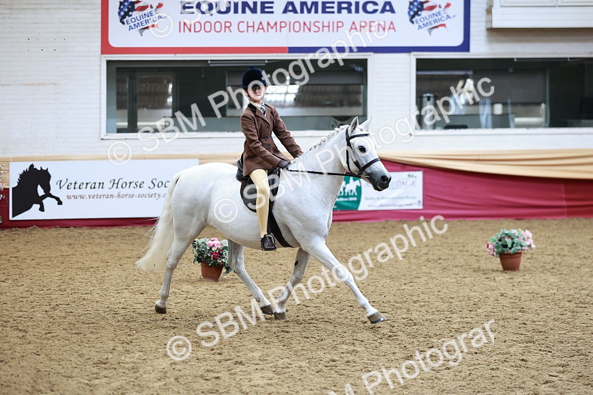 SBM_03027_Class 5a - Area - Ridden Veteran - Vicky Gutteridge