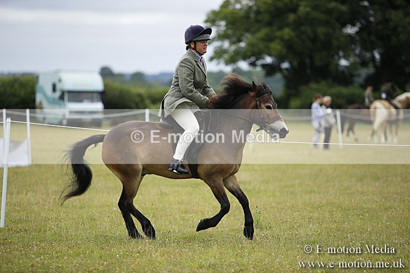 BVR160717-57 - Ring 1 BVRC Show 16/07/17