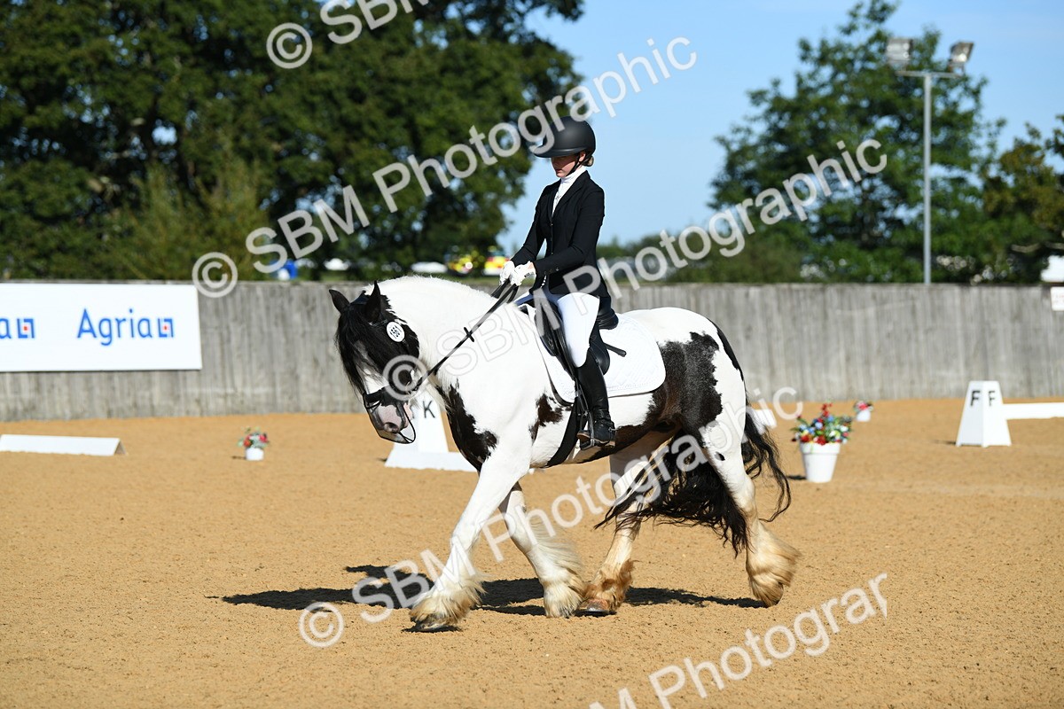 SBM_16280 - D4 - Small Tour Championship - Intro B