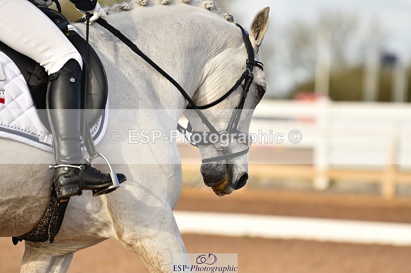 231104A-125848-01815 - Cls 8 Elementary 59