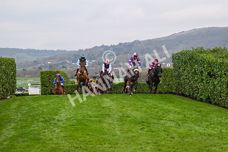 151124-Race 4-Tommie Beau-8139 - Race 4