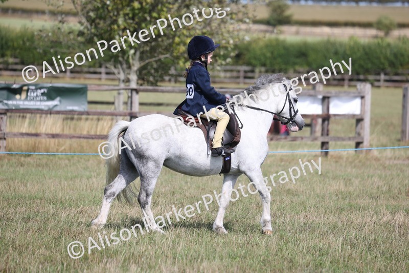 20260906-2548 - Class 18 - Childs First Pony